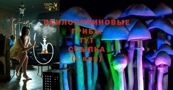 не бодяженный Медногорск