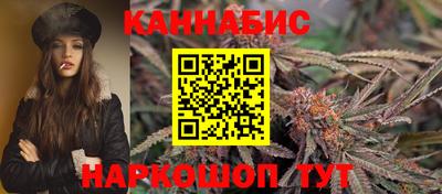 2c-b Кингисепп