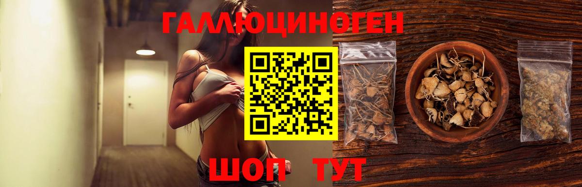 Черняховск  Псилоцибиновые грибы Magic Shrooms  Вход с VPN 